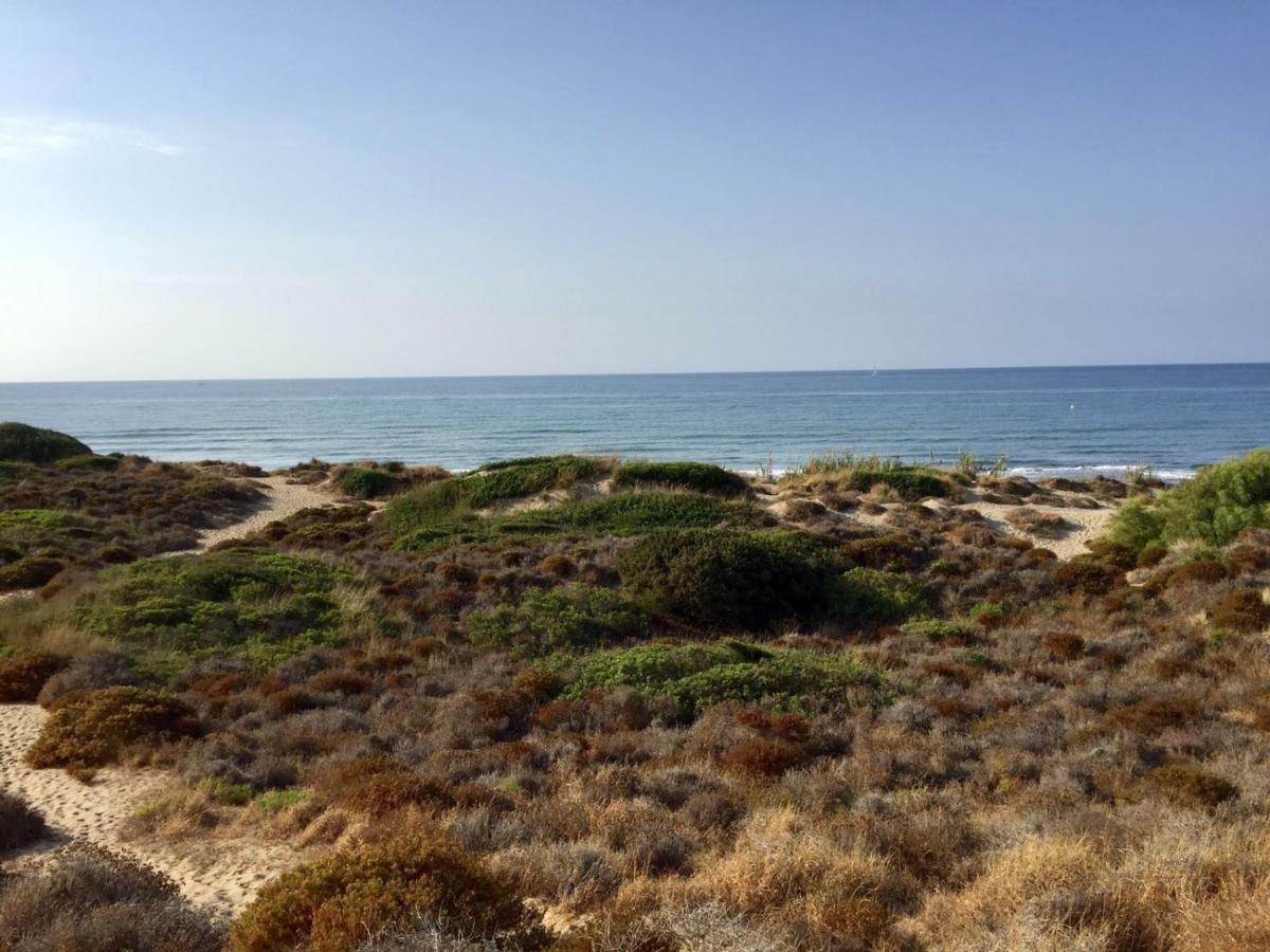 Apartamento Dunas Cabopino Marbella Eksteriør billede